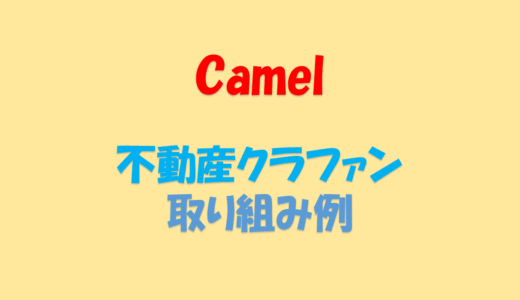 Camel(キャメル) 取り組み例 [ポイ活] [やり方] [ポイントサイト]